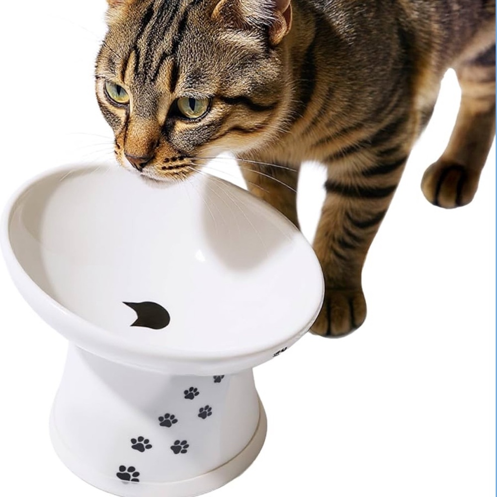 Necoichi Raised Ceramic Cat Bowl Extra Wide Tilted